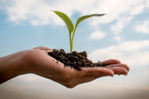 Personas Altamente Sensibles | Coaching